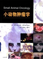 小动物肿瘤学