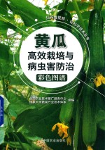 轻松学技术丛 黄瓜高效栽培与病虫害防治彩色图谱