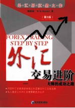 外汇交易进阶 从新手到大师的成功之路
