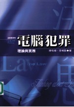 电脑犯罪 理论与实务