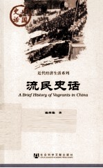 中国史话·近代区域文化系列 流民史话