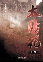 太阳花 上部