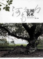 河南光山古树名木