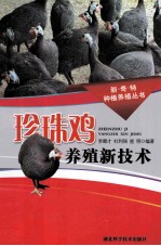 珍珠鸡养殖新技术