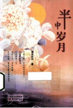半中岁月