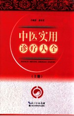 中医实用诊疗大全 上