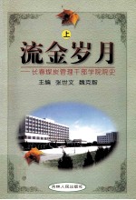 流金岁月 上