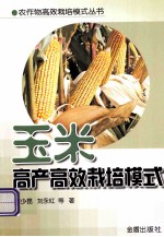 玉米高产高效栽培模式