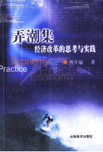 弄潮集 经济改革的思考与实践