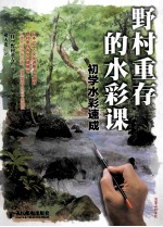 野村重存的水彩课 初学水彩速成 彩印