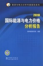国际能源与电力价格分析报告 2010