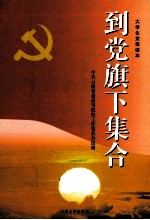 到党旗下集合 大学生党课读本