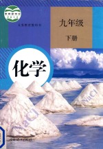 义务教育教科书 化学 九年级 下