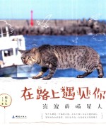 在路上遇见你 流浪的喵星人
