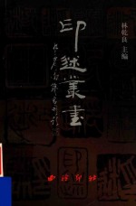 印迷丛书 上