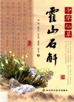 中华仙草 霍山石斛