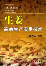 生姜高效生产实用技术