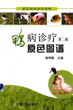 鸭病诊疗原色图谱