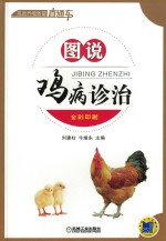 图说鸡病诊治 全彩印刷