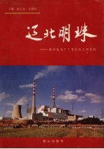 辽北明珠 铁岭发电厂1号机组工程总结