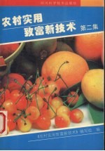 农村实用致富新技术 第2集