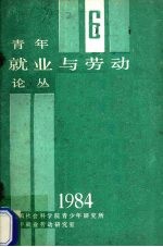 青年就业与劳动论丛 6