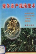 麦冬高产栽培技术