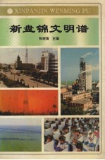 新盘锦文明谱 下