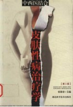 中西医结合皮肤性病治疗学 第2版