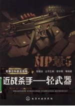 近战杀手 轻武器