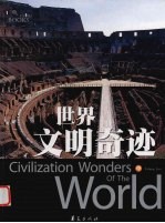 世界文明奇迹 中
