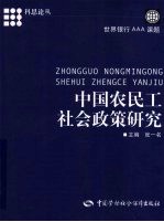 中国农民工社会政策研究