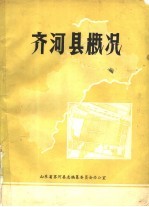 齐河县概况