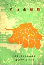 龙口市概貌