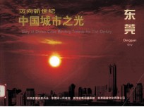 迈向新世纪中国城市之光 东莞
