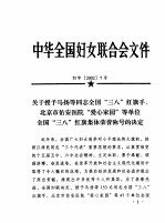 中华全国妇女联合会文件 2002