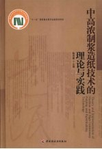 中高浓制浆造纸技术的理论与实践