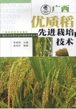 广西优质稻先进栽培技术