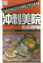 冲刺美院 色彩静物