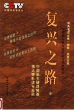 复兴之路 中