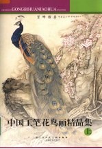 中国工笔花鸟画精品集 上