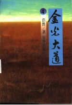 金光大道 4