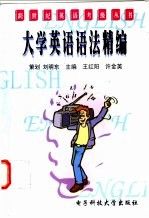 大学英语语法精编