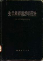 彩色病理组织学图谱