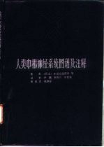 人类中枢神经系统图谱及注释