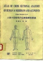 人体十四经和穴位断面解剖图谱