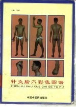 针灸腧穴彩色图谱