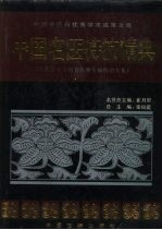 中国名医特技精典 名医专家与知名医师专病特治专集