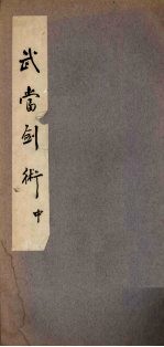 武当剑术 中