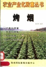 农业产业化致富丛书 烤烟